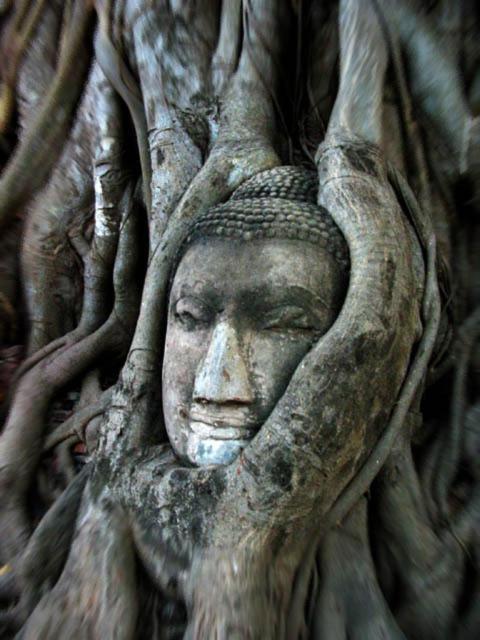 Somjai Place Ayutthaya Kültér fotó